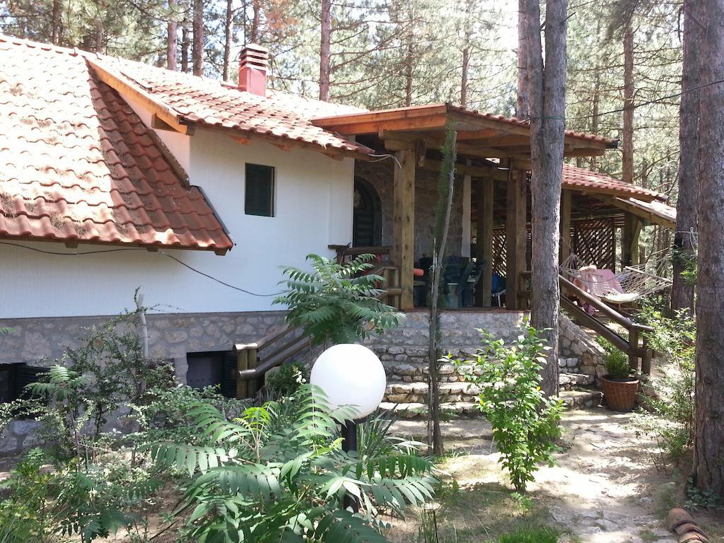 Guesthouse Bajka Vinci Exterior foto